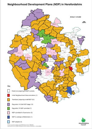 Consultation General Info 4