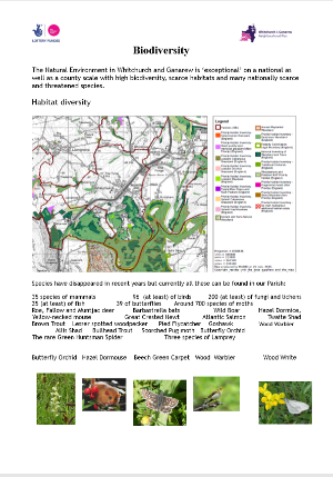 Consultation Natural Environment 3