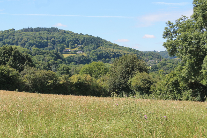 View of Little Doward and Crocker's Ash