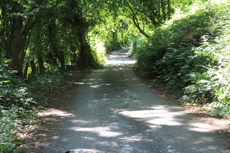 Photograph of a typical lane in the parish